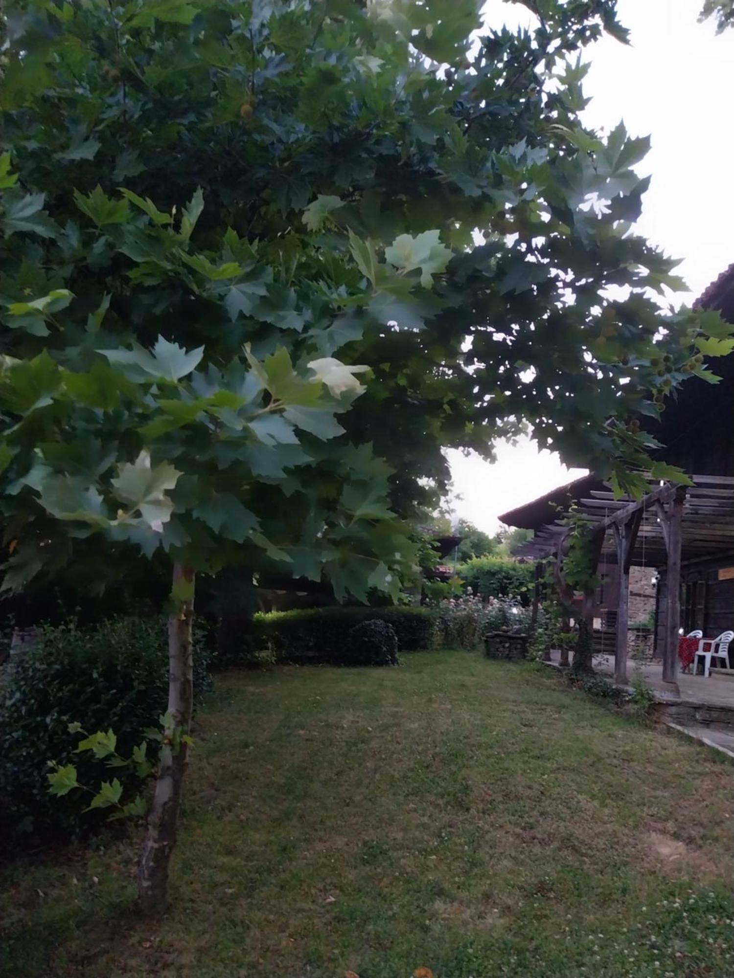 Guest Houses "Zlatna Oresha - Complex" Zheravna Buitenkant foto
